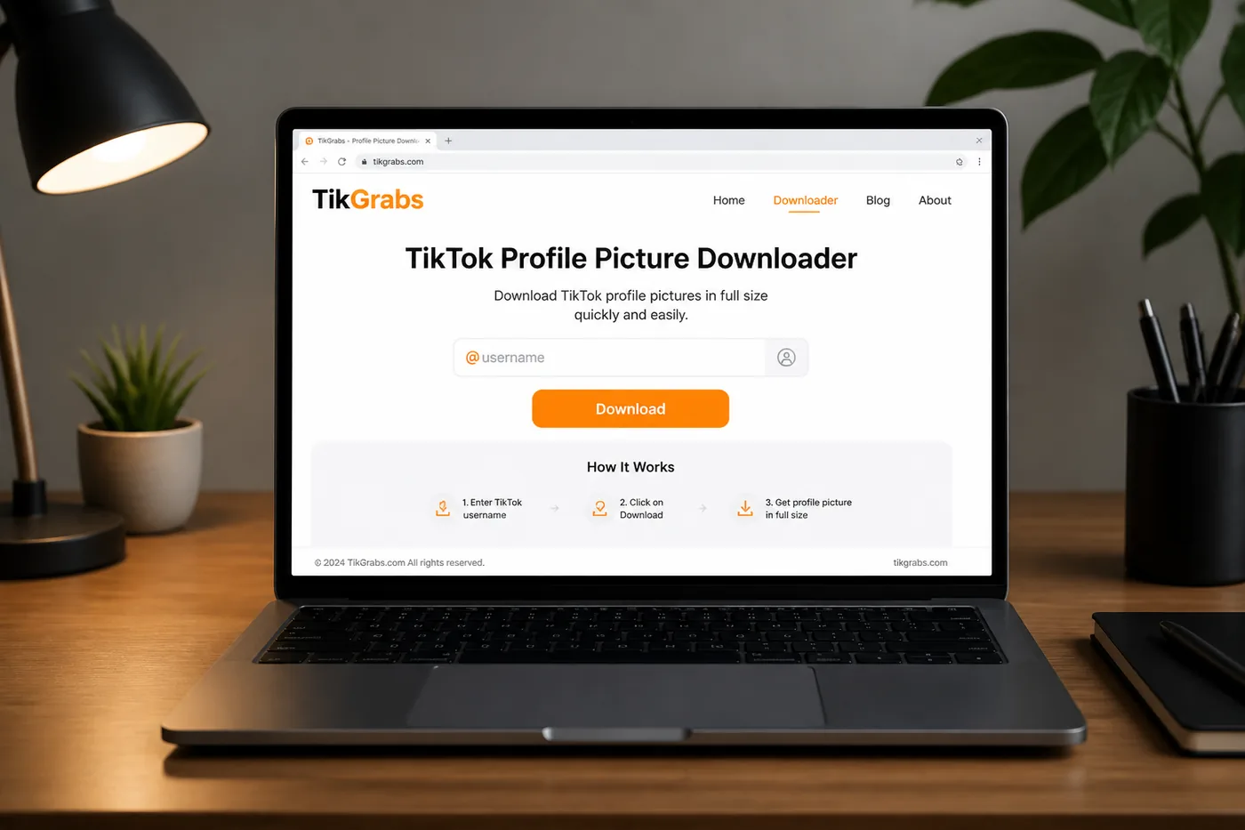 Paste TikTok username into profile picture downloader