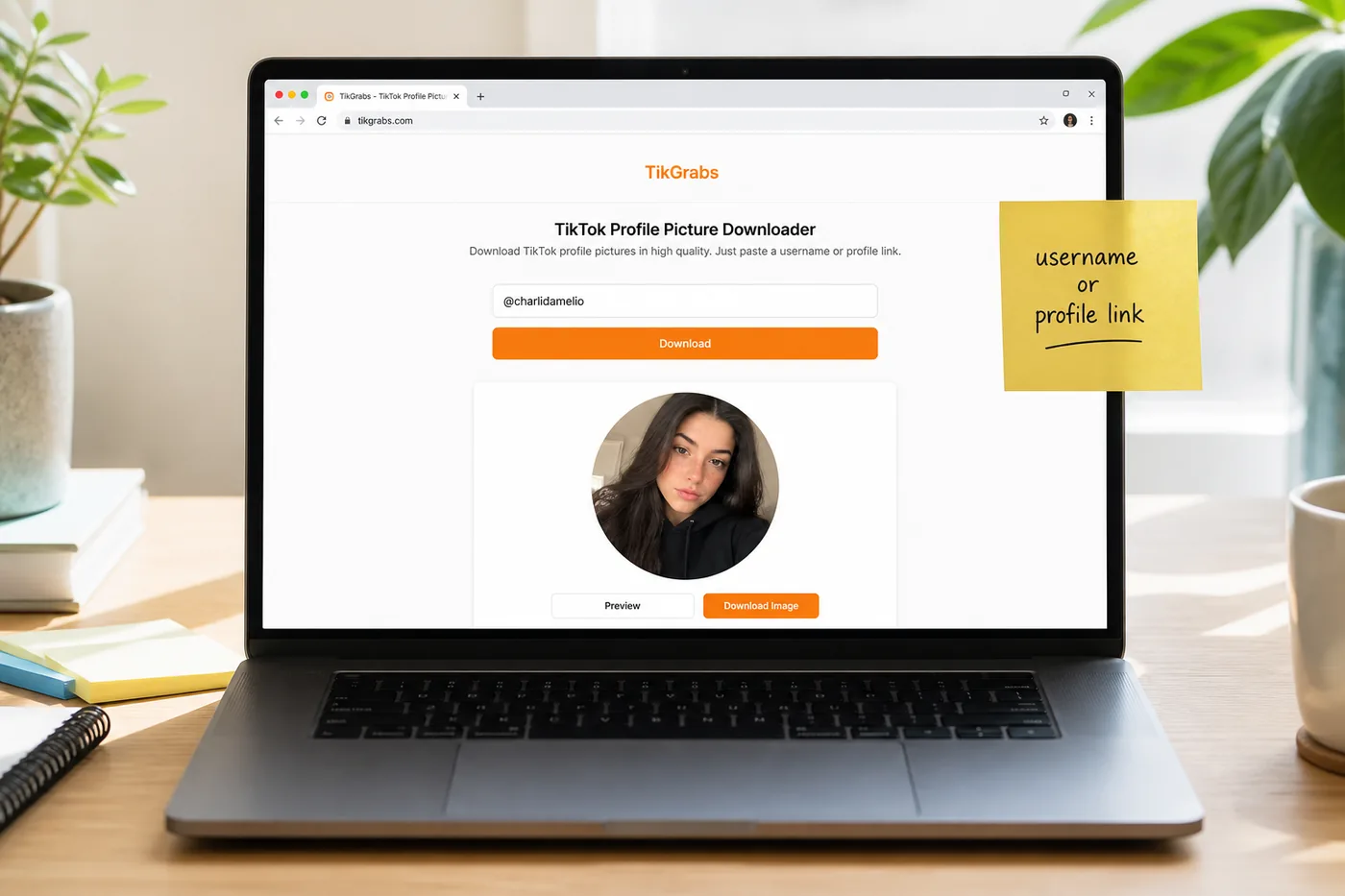 Paste TikTok username into profile picture downloader