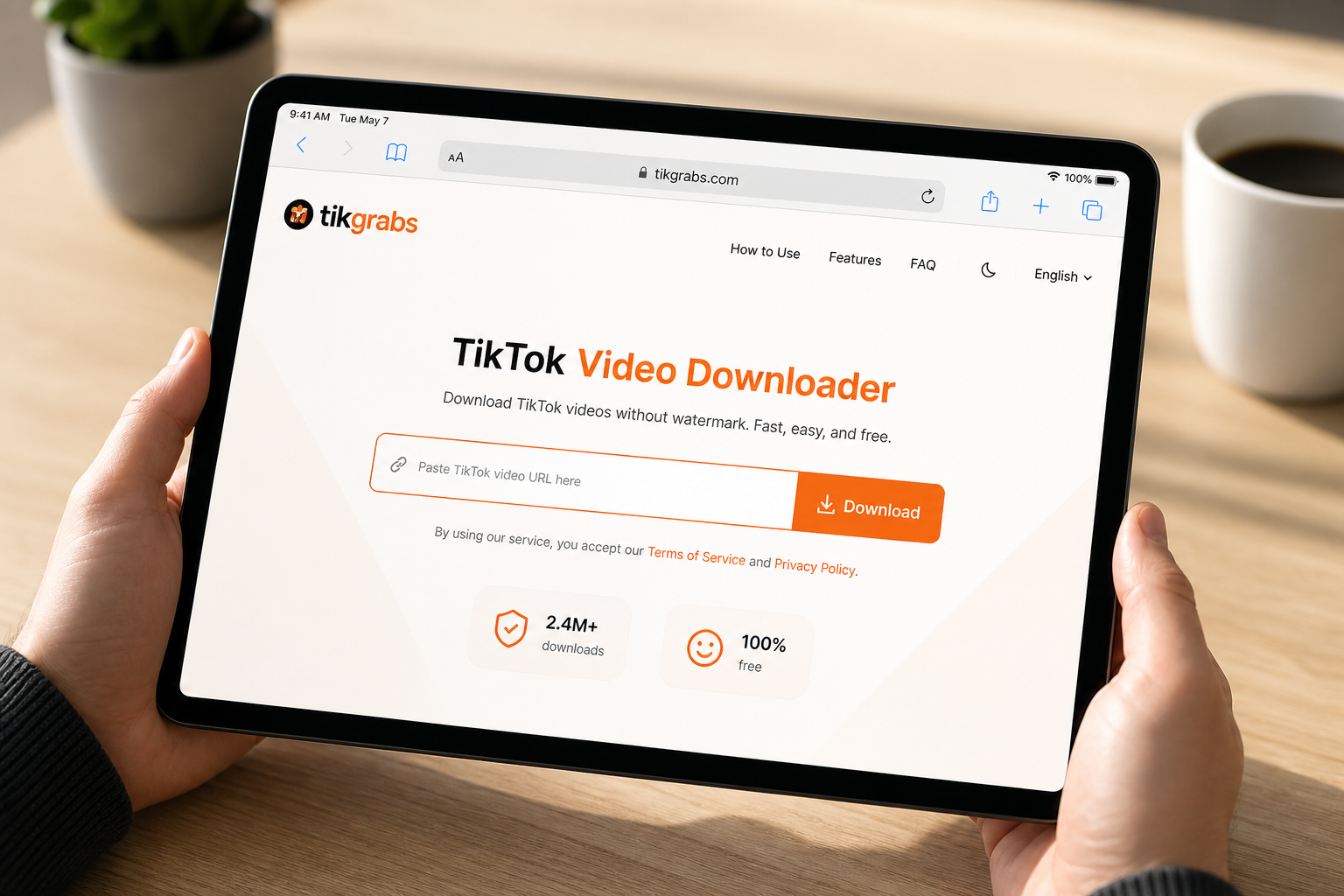 tikgrabs.com on iPad — download TikTok video on iOS